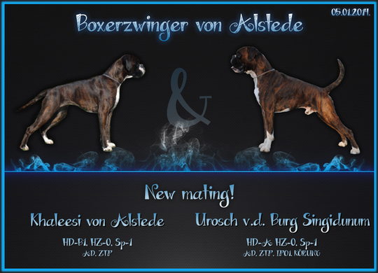 Alstede Boxer New Mating